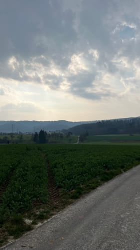 Rund um den Höchberg bei Waldrems