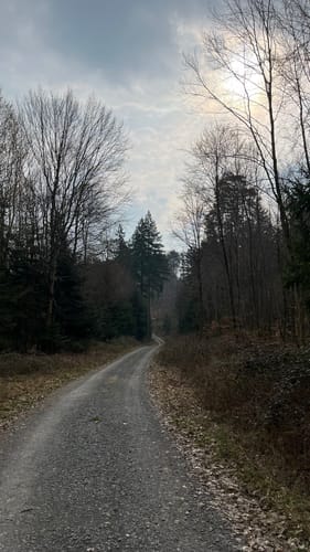Rund um den Höchberg bei Waldrems