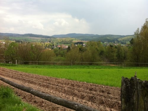Hallenberg - Viernau Runde