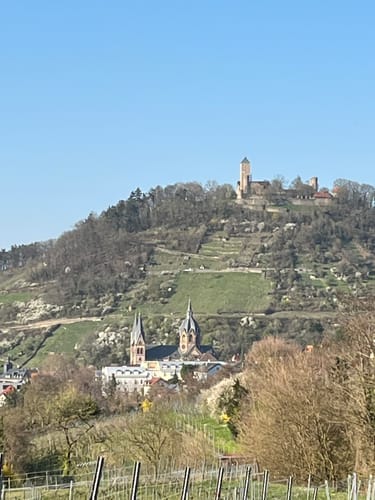 Heppenheim - Juhöhe Rundweg