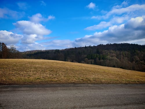 Bebenhausen - Goldersbachtal - Wildgehege