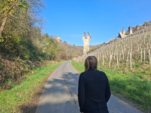 Von Bad Bodendorf nach Ahrweiler