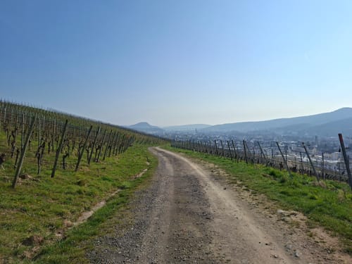 Von Bad Bodendorf nach Ahrweiler