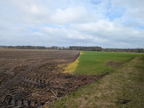 Südheide: Wo Eisvogel und Fischotter Gute Nacht sagen (mittlere Tour)