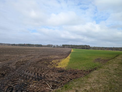 Südheide: Wo Eisvogel und Fischotter Gute Nacht sagen (mittlere Tour)