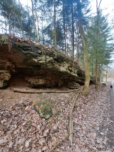 Lügder Mythenweg