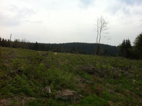 Nach Nesselhof