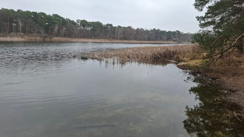 Gräbendorfer 4 Seentour: Klein Köriser See - Frauensee