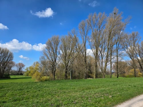 Um die Rheinwiesen Beeckerwerth