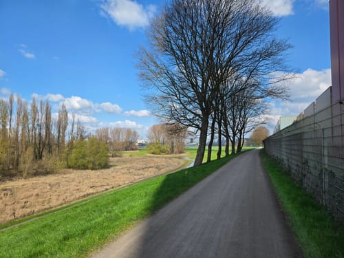 Um die Rheinwiesen Beeckerwerth