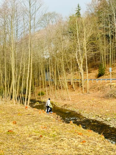 Oelsen - Špičák