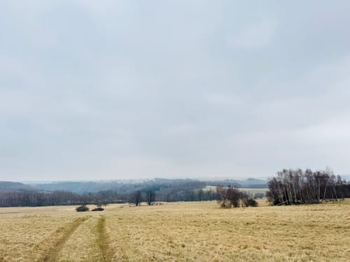 Oelsen - Špičák
