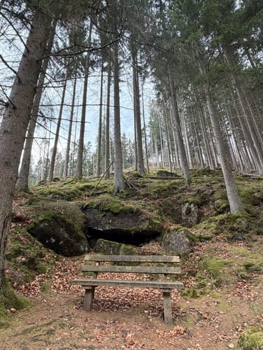 Gelterswoog - Kolbenwoog - Ruine Burg Perlenberg