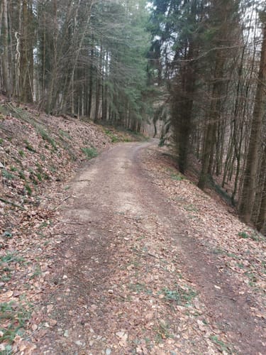 Rassel und Kellerskopf Rundweg