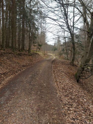 Rassel und Kellerskopf Rundweg