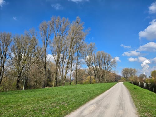 Um die Rheinwiesen Beeckerwerth