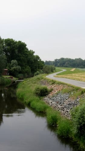Von Nierstein nach Mainz