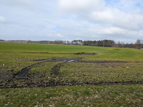 Südheide: Wo Eisvogel und Fischotter Gute Nacht sagen (mittlere Tour)