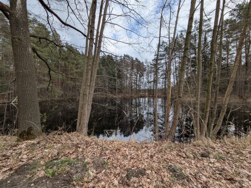 Südheide: Wo Eisvogel und Fischotter Gute Nacht sagen (mittlere Tour)