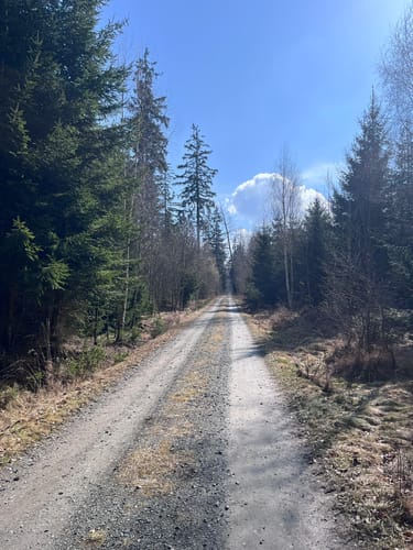 Ringweg Schlettau