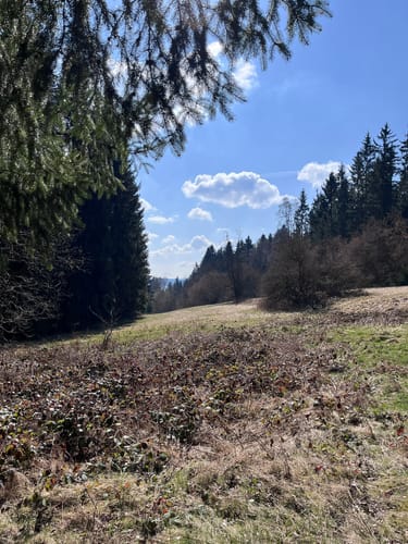 Ringweg Schlettau