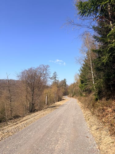 Rundweg A5: Holthauser Hangweg