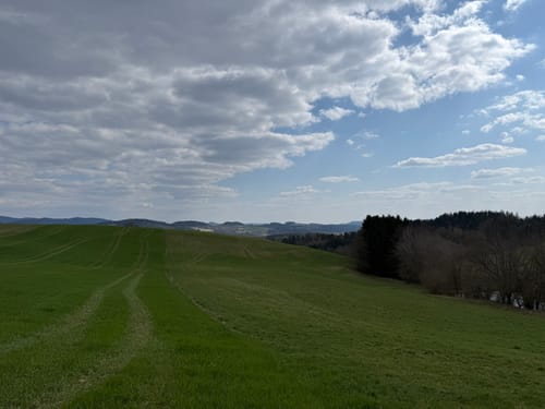 Faltl-Edi-Weg