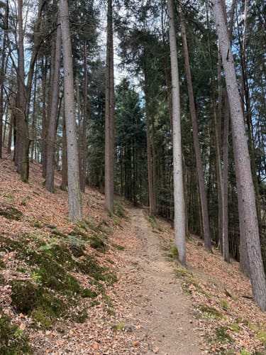 Faltl-Edi-Weg