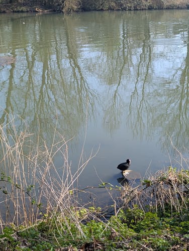 Rundwanderung durch den Moritz van Nassau Park