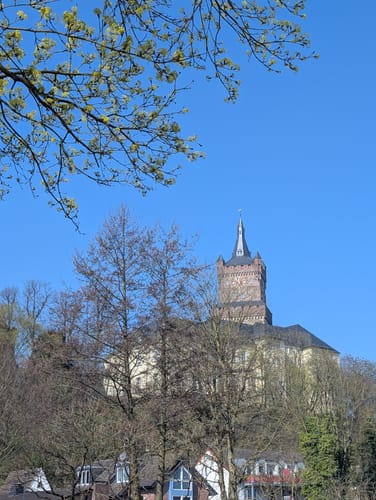 Rundwanderung durch den Moritz van Nassau Park