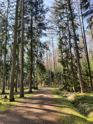 Mistelbach Rundwanderweg: Durch die Mistelauen