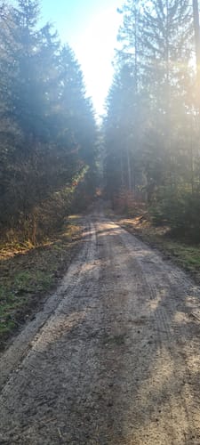 Hohe Tanne - Sackdilling