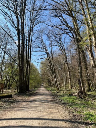 Meise-Rundweg