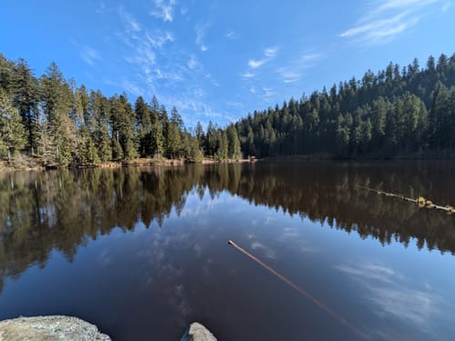 Von Holzwald zum Glaswaldsee