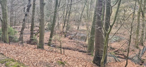Liekwegen - Bückeberg