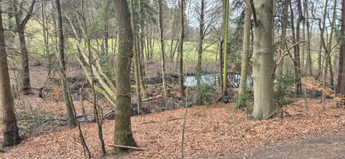 Liekwegen - Bückeberg