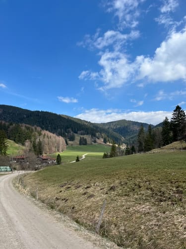 Hundham - Sternplatte - Schwarzenberg Rundweg