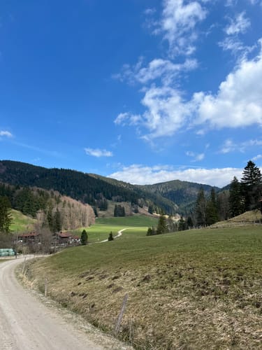 Hundham - Sternplatte - Schwarzenberg Rundweg