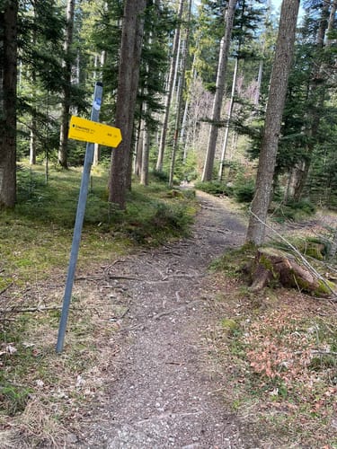 Hundham - Sternplatte - Schwarzenberg Rundweg