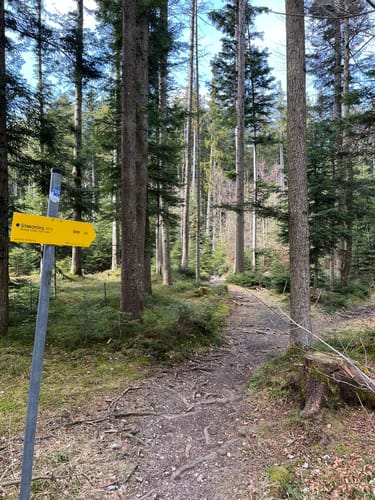 Hundham - Sternplatte - Schwarzenberg Rundweg
