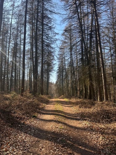Helpter Berg Runde