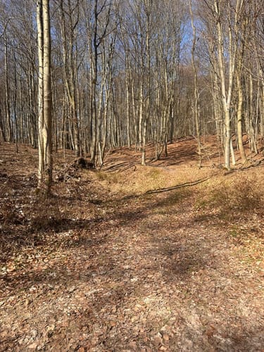 Helpter Berg Runde