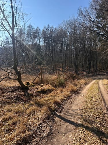 Helpter Berg Runde