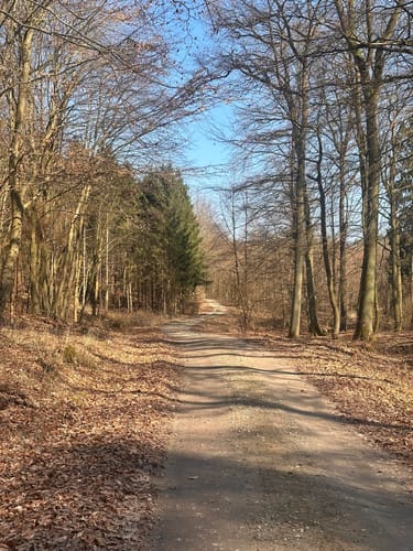 Helpter Berg Runde