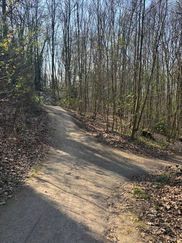 Grafenberger Wildgehege
