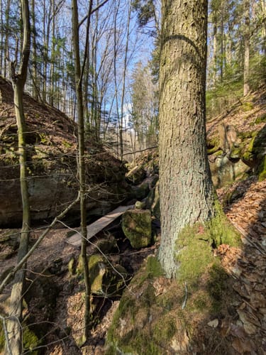 Mullersloch und Massendorfer Schlucht
