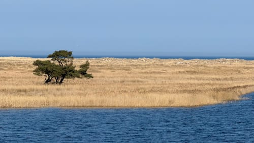 Darßer Urwald und Libbertsee ab Prerow