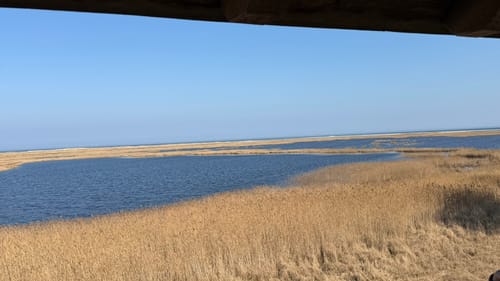 Darßer Urwald und Libbertsee ab Prerow