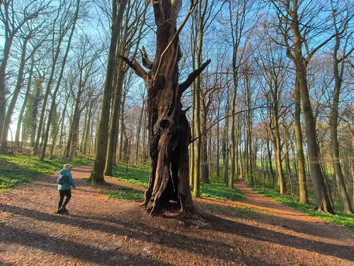 Camping De Oosterdriessen - hikes and trails to get you there | AllTrails