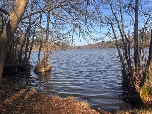 Um den Großen Zeschsee und den Kleinen Zeschsee